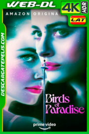 Aves del paraíso (2021) 4k WEB-DL HDR Latino