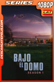 Bajo el domo Temporada 1 (2013) 1080p WEB-DL Latino