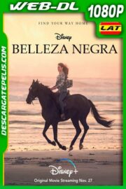 Belleza Negra (2020) 1080p WEB-DL Latino