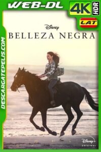 Belleza Negra (2020) 4k WEB-DL HDR Latino