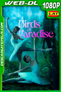Aves del paraíso (2021) 1080p WEB-DL AMZN Latino