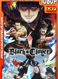 Black Clover Temporada 1 (2017) 1080p WEB-DL Latino
