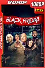 Viernes Negro (2021) 1080p BDRip Latino