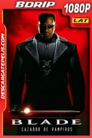Blade (1998) 1080p BDrip Latino