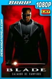 Blade (1998) 1080p BRrip Latino
