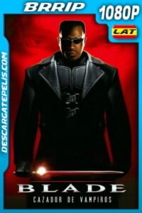 Blade (1998) 1080p BRrip Latino