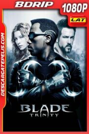 Blade: Trinity (2004) 1080p BDrip Latino
