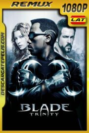 Blade: Trinity (2004) 1080p Remux Latino