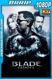 Blade: Trinity (2004) 1080p BRrip Latino