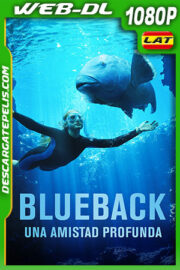 Blueback: Una amistad profunda (2022) 1080p WEB-DL Latino