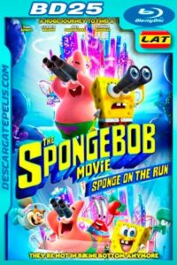 Bob Esponja: Al rescate (2020) 1080p (Custom) BD25 Latino