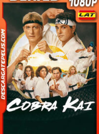Cobra Kai Temporada 6 (2024) 1080p WEB-DL Latino