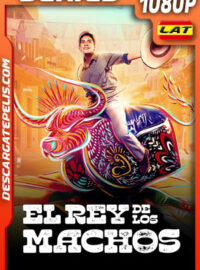 El rey de los machos Temporada 1 (2024) 1080p WEB-DL Latino