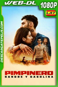 Pimpinero: Sangre y gasolina (2024) 1080p WEB-DL Latino