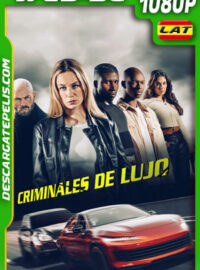 Criminales de lujo (2025) 1080p WEB-DL Latino