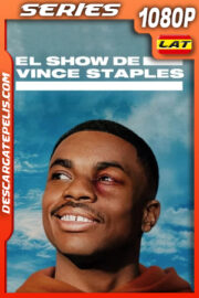 El show de Vince Staples Temporada 1 (2024) 1080p WEB-DL Latino