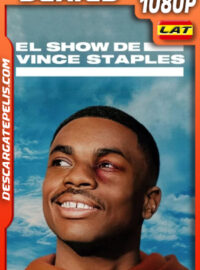 El show de Vince Staples Temporada 1 (2024) 1080p WEB-DL Latino