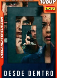 Desde dentro Temporada 1 (2022) 1080p WEB-DL Latino