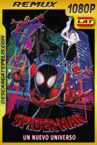 Spider-Man: Un nuevo universo (2018) 1080p REMUX Latino