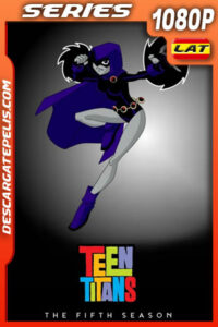 Teen Titans Temporada 5 (2005) 1080p WEB-DL Latino