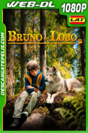 Bruno y el Lobo (2019) 1080p WEB-DL Latino