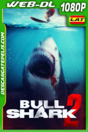Bull Shark 2 (2024) 1080p WEB-DL Latino