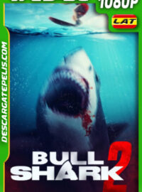 Bull Shark 2 (2024) 1080p WEB-DL Latino