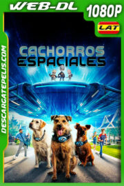 Cachorros espaciales (2023) 1080p WEB-DL Latino