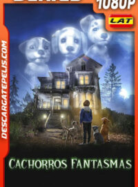 Cachorros fantasmas Temporada 1 (2022) 1080p WEB-DL Latino