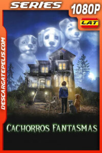 Cachorros fantasmas Temporada 1 (2022) 1080p WEB-DL Latino