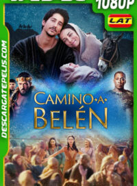 Camino a Belén (2023) 1080p WEB-DL Latino