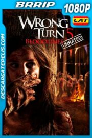 Camino hacia el terror 5: Límite sangriento (2012) Unrated 1080p BRRip Latino