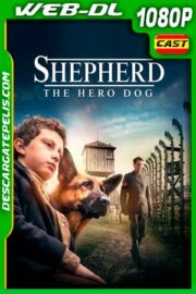 Camino hacia la libertad (2019) 1080p WEB-DL Castellano