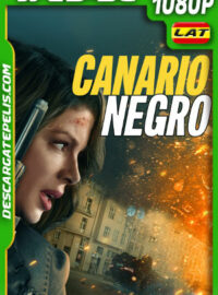 Canario negro (2024) 1080p WEB-DL Latino