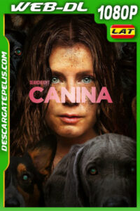 Canina (2024) 1080p WEB-DL Latino