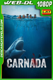 Carnada (2024) 1080p WEB-DL Latino
