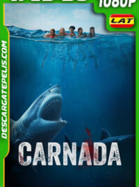Carnada (2024) 1080p WEB-DL Latino
