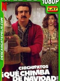 Chichipatos: ¡Qué chimba de Navidad! (2020) 1080p WEB-DL Latino
