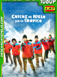 Chicos de hielo en el trópico (2025) 1080p WEB-DL Latino