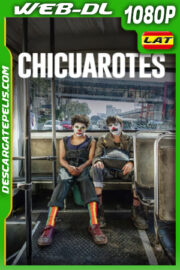Chicuarotes (2019) 1080p WEB-DL Latino
