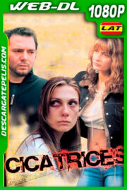 Cicatrices (2005) 1080p WEB-DL Latino