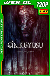 Cin Kuyusu (2015) 720p WEB-DL Latino