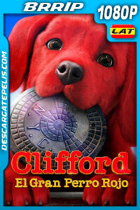 Clifford el Gran Perro Rojo (2021) 1080p BRRip Latino