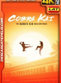 Cobra Kai (2018) Temporada 1 4k WEB-DL Latino