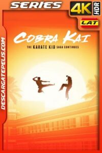 Cobra Kai (2018) Temporada 1 4k WEB-DL Latino