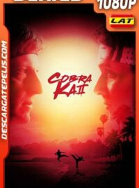 Cobra Kai (2019) Temporada 2 1080p WEB-DL Latino
