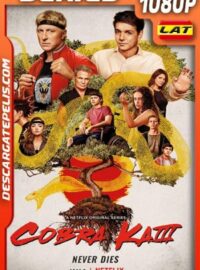 Cobra Kai (2021) Temporada 3 1080p WEB-DL Latino