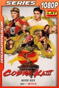 Cobra Kai (2021) Temporada 3 1080p WEB-DL Latino