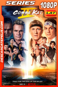 Cobra Kai (2021) Temporada 4 1080p WEB-DL Latino