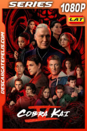 Cobra Kai Temporada 5 (2022) 1080p WEB-DL Latino